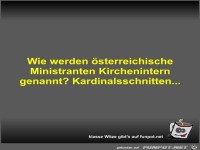 Wie werden �sterreichische Ministranten Kirchenintern...