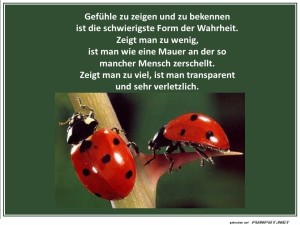 herz-Bild: Gefühle zeigen