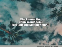 Jahrtausend-Sommer