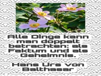 alle dinge kann man doppelt