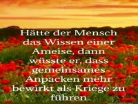 Weisheit der Ameisen in Zusammenarbeit