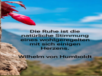 die ruhe ist die nat�rliche stimmung