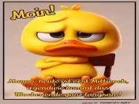 Niedlicher Enten-Mittwoch Gru