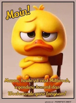 Niedlicher-Enten-Mittwoch-Gru.jpg auf www.funpot.net