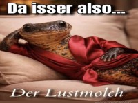 Der Lounge-Lurch chillt in Style!