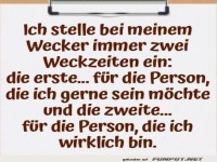 Morgenmuffel-Leben in zwei Akten