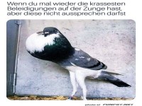 Da hat sich was angestaut