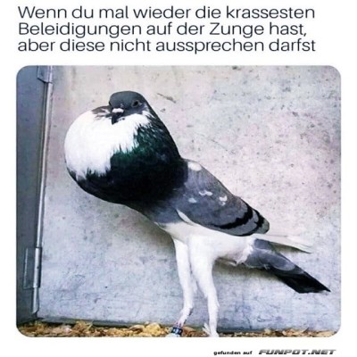 Da-hat-sich-was-angestaut.jpg von Phil-1986