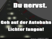 Innovative Freizeitideen f�r Nervens�gen!