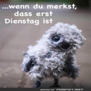 Erst-Dienstag.jpg von Goldlocke