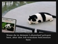 Tarnung auf h�chstem Niveau!