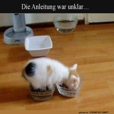 Katzenlogik:-Zwei-N&auml;pfe,-doppelter-Genuss.jpg von Sophie48