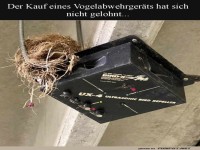 V�gel 1, Ger�t 0: Nestbau der Extraklasse