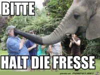 bitte halt die Fr....