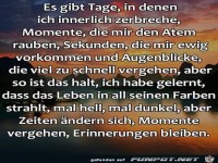 tage-in-denen-ich-innerlich-zerbreche