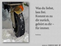 was du liebst, lass frei...