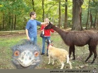 Photobomb
