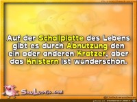 Auf-der-Schallplatte-des-Lebens