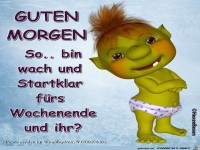 Guten Morgen---