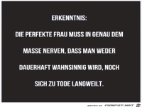 Download Die perfekte frau lustig Desktop Wallpaper