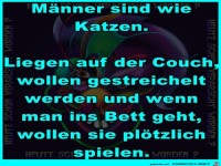 Maenner sind wie Katzen