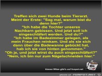 Treffen sich zwei Hunde beim Tierarzt