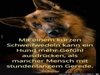 mit einem kurzen Schwanzwedeln kann ein Hund mehr Gefhl....