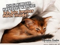 M�de Katze 2