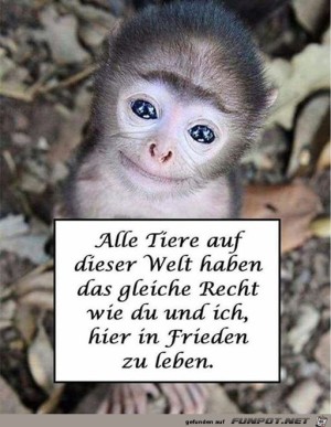 Tiere-in-Frieden-leben-lassen.jpg auf www.funpot.net