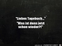 Tagebuch ist genervt