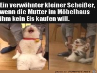 Ein verw�hnter Fratz