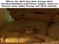 s��e Katze wartet