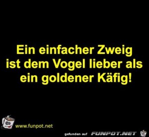 Ein-Zweig.jpg auf www.funpot.net