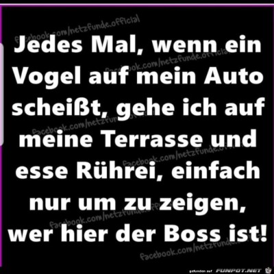 Ich-esse-R&uuml;hrei.jpg von babs