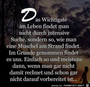 Das-Wichtigste-im-Leben.jpg auf www.funpot.net