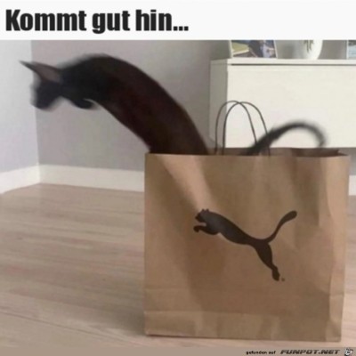 Das-passt.jpg von Malou
