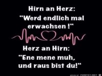 Hirn an Herz