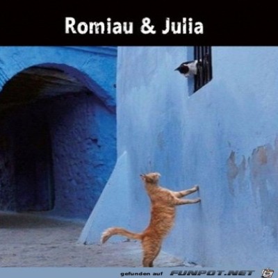 Romiau-und-Julia.jpg von Enya