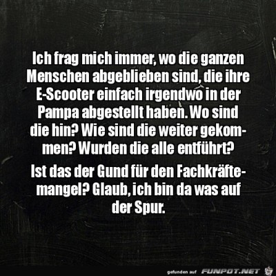 Die-E-Scooter-Menschen.jpg von Cedric