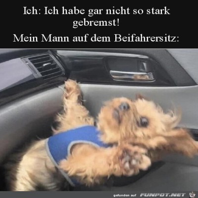 Drama-Queen.jpg von Lillian