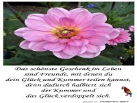 Das schnste Geschenk 2