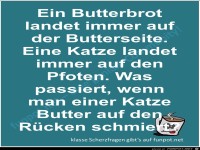 Scherzfrage