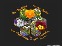 Im Frhling ist die Natur