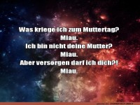 Lustiger Muttertagsdialog mit Katze