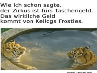 Das wirklich Geld kommt von den Frosties