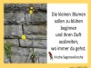 weiter