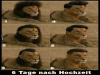 L�wenstyling: Vom K�nig zur Instagram-Ikone