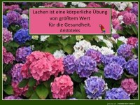 Lachen ist eine �bung