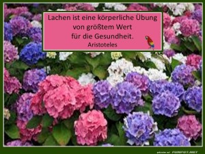herz-Bild: Lachen ist eine &Uuml;bung