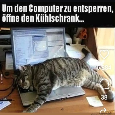 um-den-computer.jpg von Fabioma